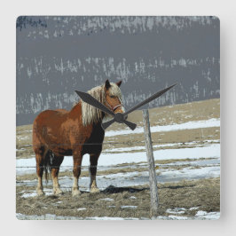 Belgisch conceptpaard in Paddock Wall klok