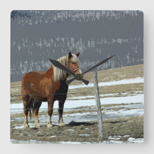 Belgisch conceptpaard in Paddock Wall klok