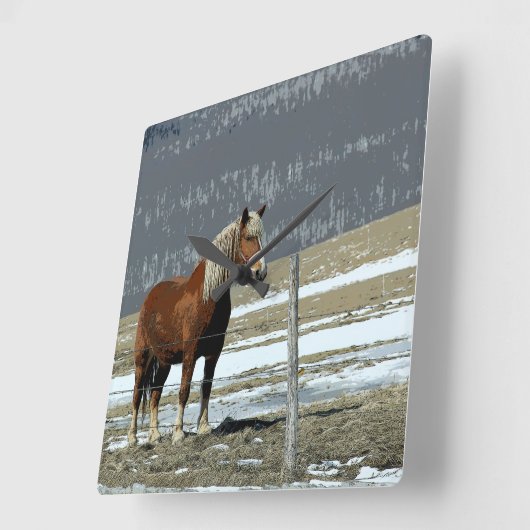 Belgisch conceptpaard in Paddock Wall klok (Hoek)