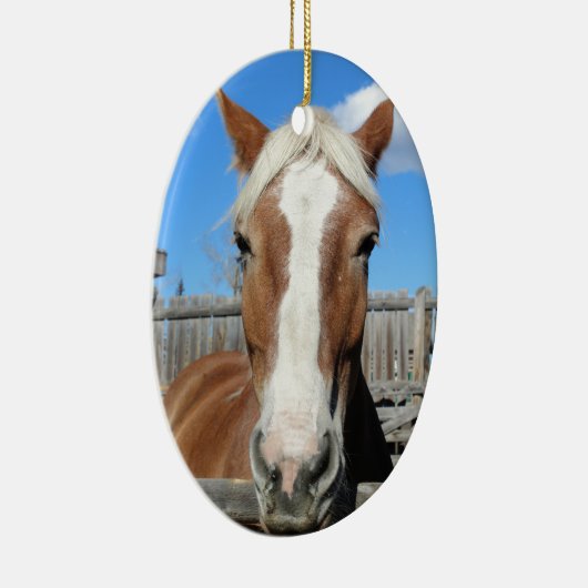 Belgisch conceptpaard keramisch ornament (Rechts)