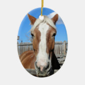 Belgisch conceptpaard keramisch ornament (Voorkant)