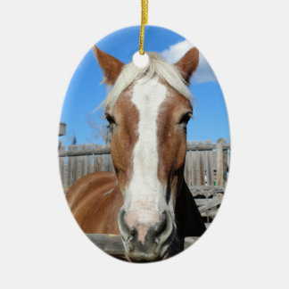 Belgisch conceptpaard keramisch ornament