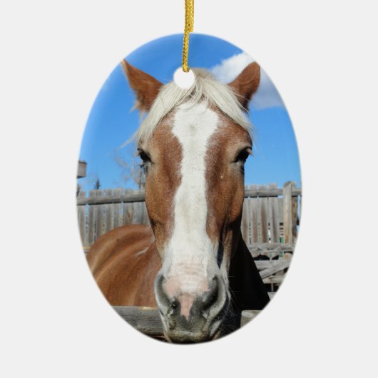 Belgisch conceptpaard keramisch ornament (Voorkant)