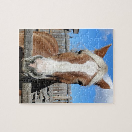 Belgisch conceptpaard legpuzzel (Horizontaal)