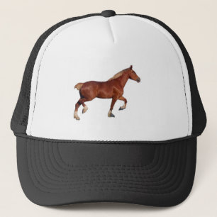 Belgisch conceptpaard trucker pet