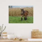 Belgisch conceptpaard voor een maïsveld poster (Keuken)