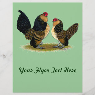 Belgisch d'Anvers Bantams: kwartels Flyer