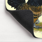 Belgisch d'Anvers Bantams: kwartels Muismat (Hoek)