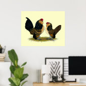 Belgisch d'Anvers Bantams: kwartels Poster (Thuiskantoor)