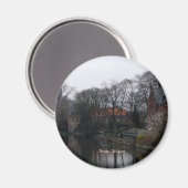 Belgisch landschapskoeler magnet (Voorkant / Achterkant)