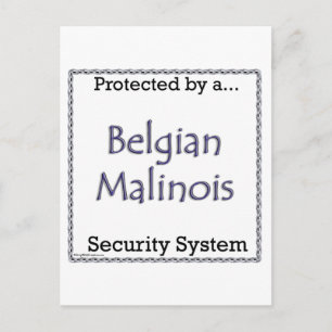 Belgisch Malinois beveiligingssysteem Briefkaart