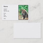 Belgisch Malinois Puppy Visitekaartje (Voorkant / Achterkant)