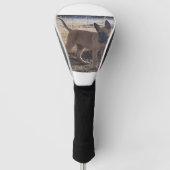 Belgisch_Malinois_Puppy vol Golfheadcover (Voorkant)