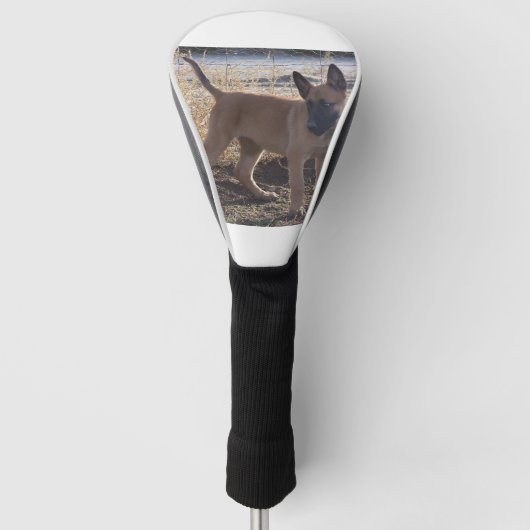 Belgisch_Malinois_Puppy vol Golfheadcover (Voorkant)