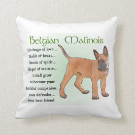 Belgisch Malinoiserfgoed van de liefde Kussen