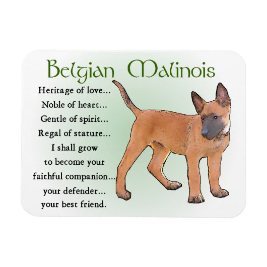 Belgisch Malinoiserfgoed van de liefde Magneet (Horizontaal)