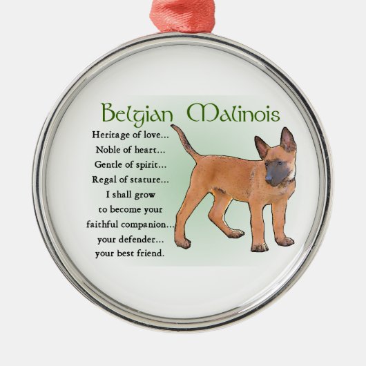 Belgisch Malinoiserfgoed van de liefde Metalen Ornament (Voorkant)