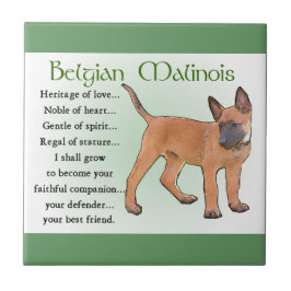 Belgisch Malinoiserfgoed van de liefde Tegeltje