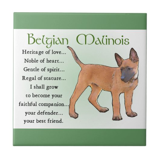 Belgisch Malinoiserfgoed van de liefde Tegeltje (Voorkant)