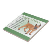 Belgisch Malinoiserfgoed van de liefde Tegeltje (Zijkant)