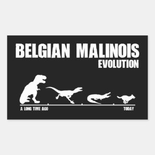Belgisch Malinoisevolutie Rechthoekige Sticker