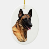 Belgisch Malinoishoofd Ornament (Voorkant)