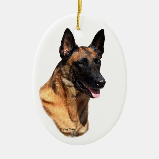 Belgisch Malinoishoofd Ornament (Voorkant)