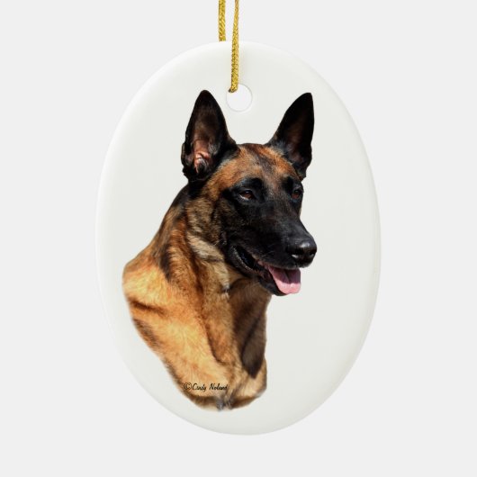 Belgisch Malinoishoofd Ornament (Achterkant)