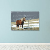 Belgisch ontwerppaard in Paddock Canvas art (Insitu (Houten vloer))