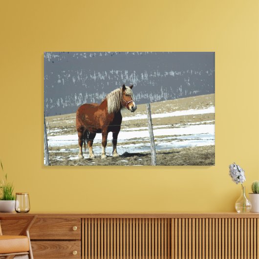 Belgisch ontwerppaard in Paddock Canvas art (Insitu (Woonkamer))