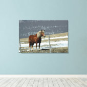 Belgisch ontwerppaard in Paddock Canvas art (Insitu (Houten vloer))