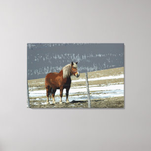 Belgisch ontwerppaard in Paddock Canvas art Afdruk