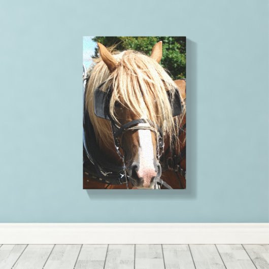 Belgisch paard canvas afdruk (Insitu (Houten vloer))
