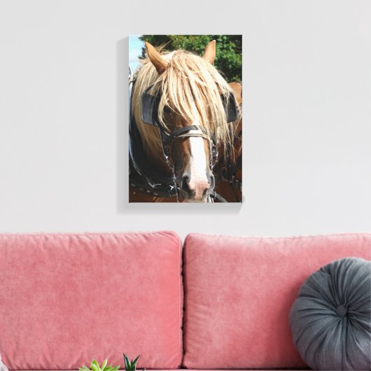 Belgisch paard canvas afdruk (Insitu (Woonkamer))