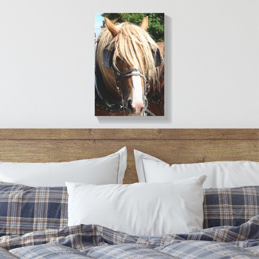 Belgisch paard canvas afdruk (Insitu (Slaapkamer))