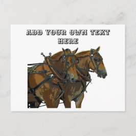 Belgisch Paardenteam Alles voor Postkaart