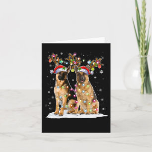 Belgisch Pet met de Malinois Reindester Santa Kers Kaart