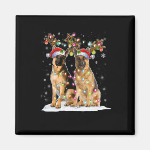 Belgisch Pet met de Malinois Reindester Santa Kers Magneet