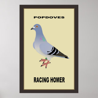 Belgisch Poster voor Racing Homer