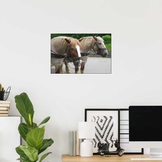 Belgisch team poster (Thuiskantoor)