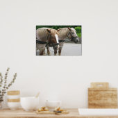 Belgisch team poster (Keuken)