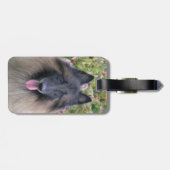 Belgisch Tervuren Bagagelabel (Achterkant horizontaal)