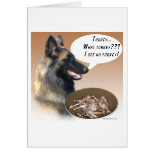 Belgisch Tervuren Turkije