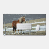 Belgisch trekpaard in paddock bureaumat (Keyboard & Muis)