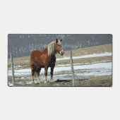 Belgisch trekpaard in paddock bureaumat (Voorkant)