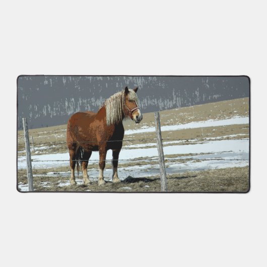 Belgisch trekpaard in paddock bureaumat (Voorkant)