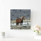 Belgisch trekpaard in paddock wandkloknummer vierkante klok (Huis)