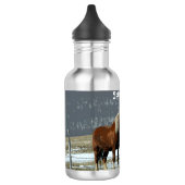 Belgisch trekpaard in Paddock waterfles (Links)