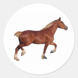 Belgisch trekpaard ronde sticker
