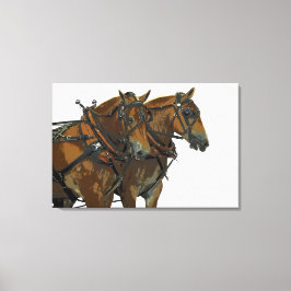 Belgisch trekpaard team gespannen canvas kunst